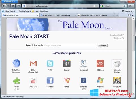 Captură de ecran Pale Moon pentru Windows 8.1