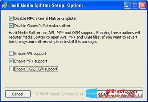 Captură de ecran Haali Media Splitter pentru Windows 8.1