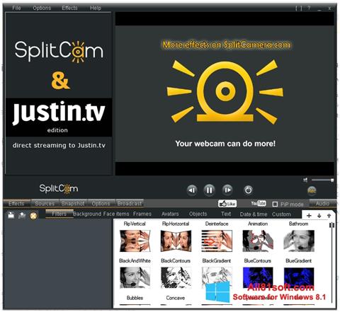 Captură de ecran SplitCam pentru Windows 8.1