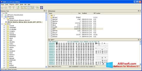 Captură de ecran DMDE pentru Windows 8.1