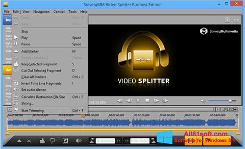 Captură de ecran SolveigMM Video Splitter pentru Windows 8.1