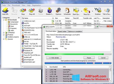 Captură de ecran Internet Download Manager pentru Windows 8.1