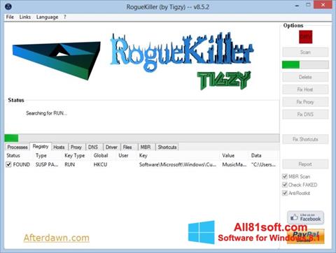 Captură de ecran RogueKiller pentru Windows 8.1