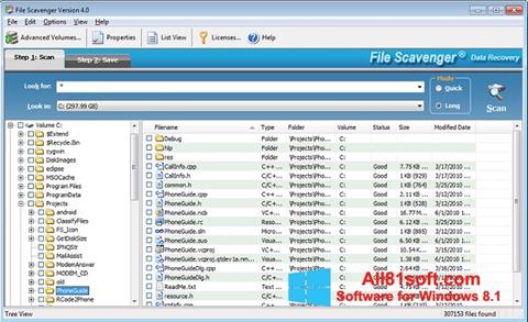 Captură de ecran File Scavenger pentru Windows 8.1