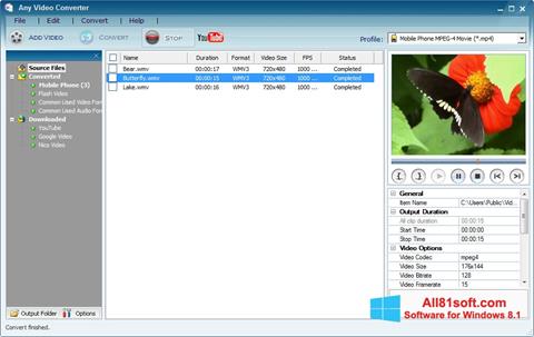 Captură de ecran Any Video Converter pentru Windows 8.1
