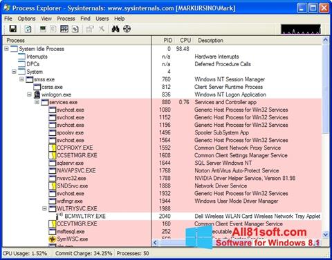 Captură de ecran Process Explorer pentru Windows 8.1