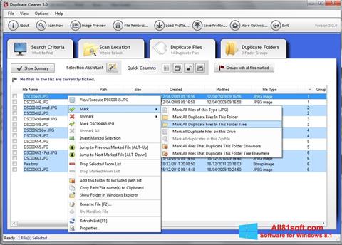 Captură de ecran Duplicate Cleaner pentru Windows 8.1