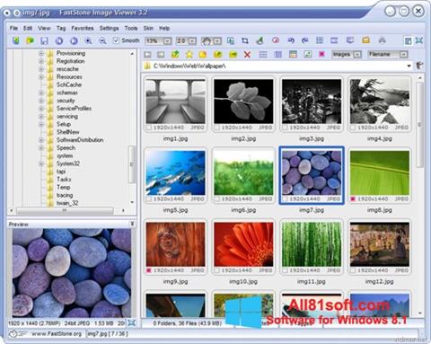 Captură de ecran FastStone Image Viewer pentru Windows 8.1