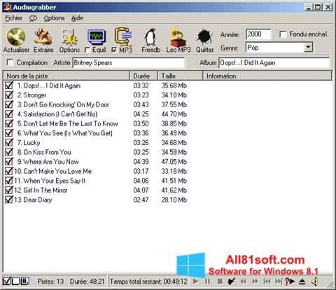 Captură de ecran Audiograbber pentru Windows 8.1